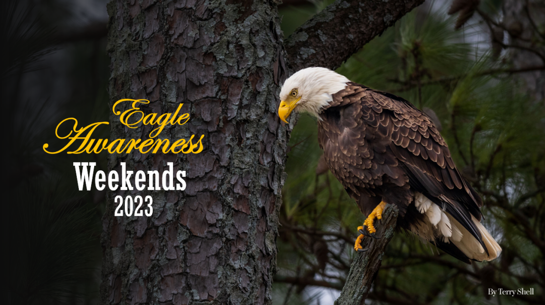 2023 Eagle Awareness Alapark